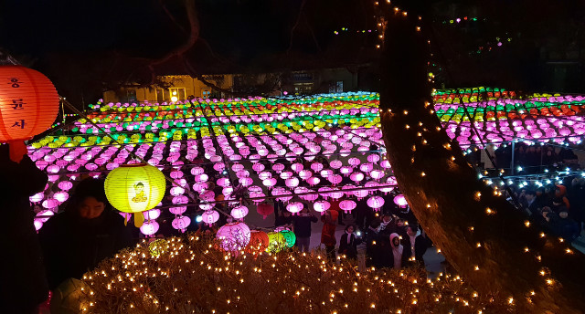 2019타종식 2=1200.jpg
